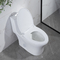 toalete 28&quot; 1,28 nivelado duplo da parte de Gpf um 10 polegadas áspero no padrão americano