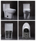 O fim nivelado de Ada One Piece Toilet Single Siphonic acoplou mercadorias sanitários