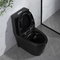 1,6 Gpf Matt Black Dual Flush Elongated um padrão americano do toalete da parte